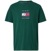 T-shirts & Polo-t-shirts Tommy Hilfiger  Linear Flag Graphic Tee