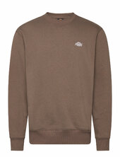 M Summerdale Sweatshirt Dickies Brown