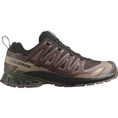 Løbesko Salomon Xa Pro 3d V9 Gtx