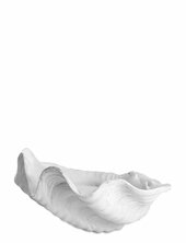 Shell Mette Ditmer White