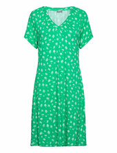 Frsanie Dr 1 Fransa Green