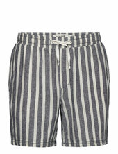 Sdfried Shorts Solid Navy