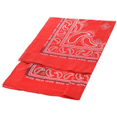 Halstørklæder Guess Am8765cot03-red