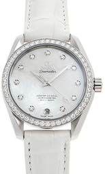 Omega Dameur 231.18.39.21.55.001 Seamaster Aqua Terra 150m Master
