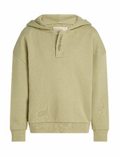 Embro. Ck Logo Terry Hoodie Calvin Klein Green