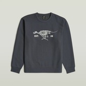 Pullovere G-star Raw Running Dog Back Gr R S