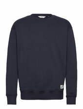 Sdlenz Crew Sw Solid Blue