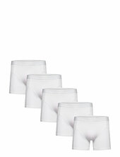 5 Pack Tights Shine Original White