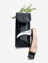 Mushroom Knife In Case Sagaform Black