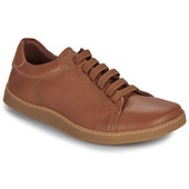 Sneakers El Naturalista Origen