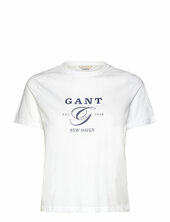 Reg Graphic Ss T-shirt Gant White