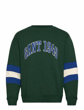 Colorblock Sleeve Cneck Gant Green