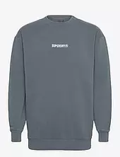 Micro Logo Graphic Loose Crew Superdry Blue