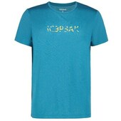 T-shirts M. Korte ærmer Icepeak Bearden
