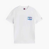 T-shirts M. Korte ærmer Tommy Jeans  Tjm Reg Dna Flag Play Te