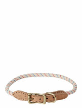 Perry Dog Collar Oyoy Living Design Patterned