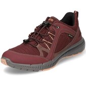 Sneakers Ecco Terracruise Ii W Gtx Tex