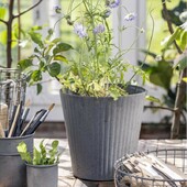 Skjuler M/ Riller Konisk - Ib Laursen H: 23 Cm