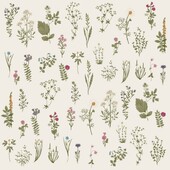 Servietter Blomstret "flora" - 50 Stk. - Ib Laursen