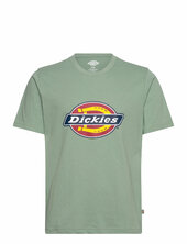 M Icon Logo Tee Dickies Green
