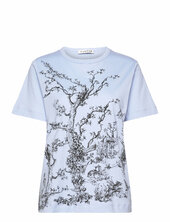 Fedelio Munthe Blue
