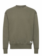 Sdlenz Crew Sw Solid Green