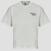 T-shirts M. Korte ærmer Dickies  Sneedville Tee Ss Egret