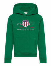 Archive Shield Raglan Hoodie Gant Green