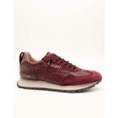 Sneakers Hispanitas  -