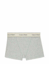 Boxer Brief Calvin Klein Grey