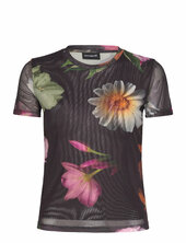 Des Moines Desigual Patterned