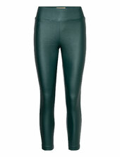Sc-pam Soyaconcept Green