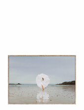 Social Distance - 50x70 Cm Paper Collective Patterned