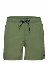 Leisure Swim Shorts H2o Green