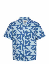 Sdolavi Solid Blue
