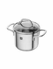 Stock Pot Zwilling Silver