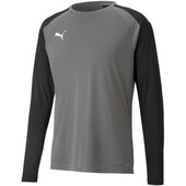 T-shirts & Polo-t-shirts Puma Teampacer Gk Ls Jersey