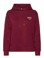 Small Graphic Hoodie Gant Red