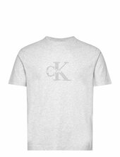 Chenille Monologo Tee Calvin Klein Jeans Grey
