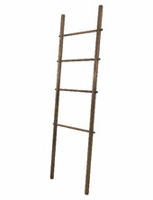 Roots Ladder Mette Ditmer Brown