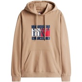 Sweatshirts Tommy Hilfiger Tjm Reg Rwb Flag Hoo Dm0dm22092