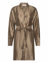 Slfsilva-tonia Ls Shirt Dress B Selected Gold