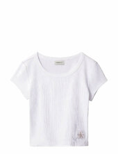 A - Woven Label 2x2 Rib Baby Tee Calvin Klein Jeans White