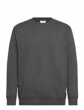 Crew Neck Sweat Lindbergh Grey