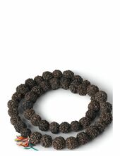 Sustain Rudraksh Rosenkrans Nordstjerne Brown