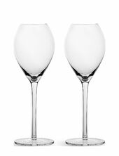 Saga Champagne Glass, 2-pack Sagaform