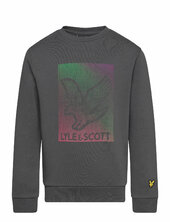 Dotted Eagle Graphic Sweatshirt Lyle & Scott Grey