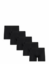 5 Pack Tights Shine Original Black