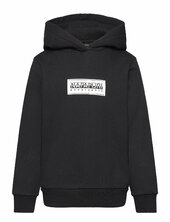 Chamois Hoodie Napapijri Black