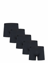 5 Pack Tights Shine Original Navy